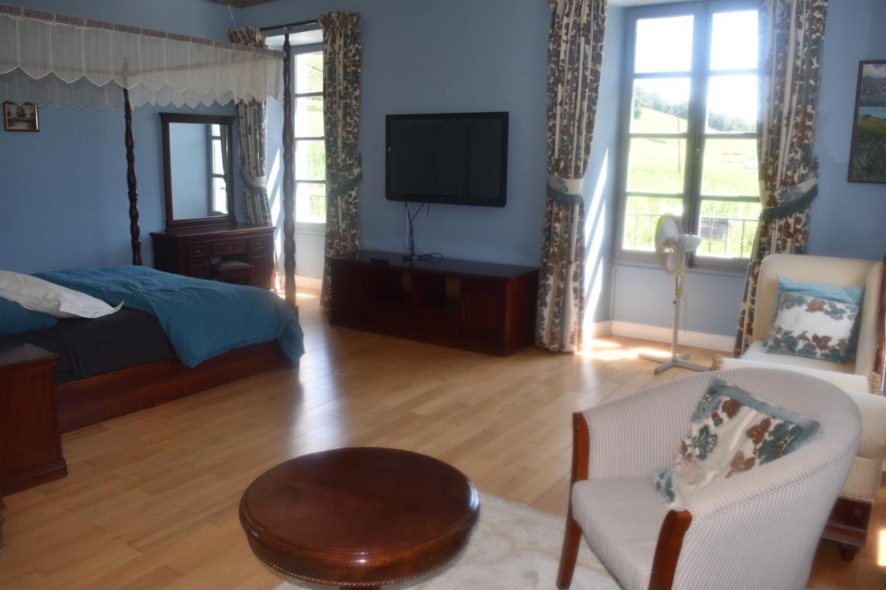 Chateau Roquehort Avec Ev Recharge Point 22Kw Monein Bagian luar foto