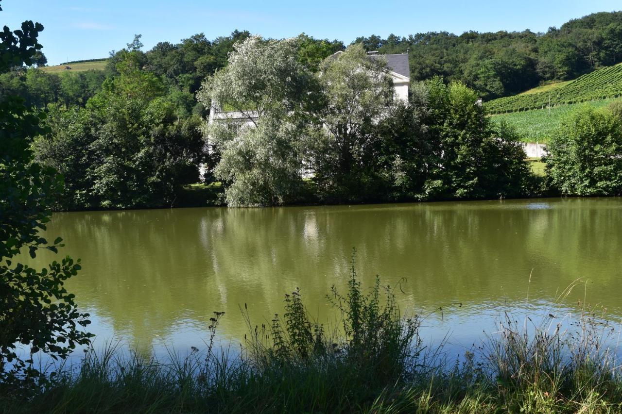 Chateau Roquehort Avec Ev Recharge Point 22Kw Monein Bagian luar foto