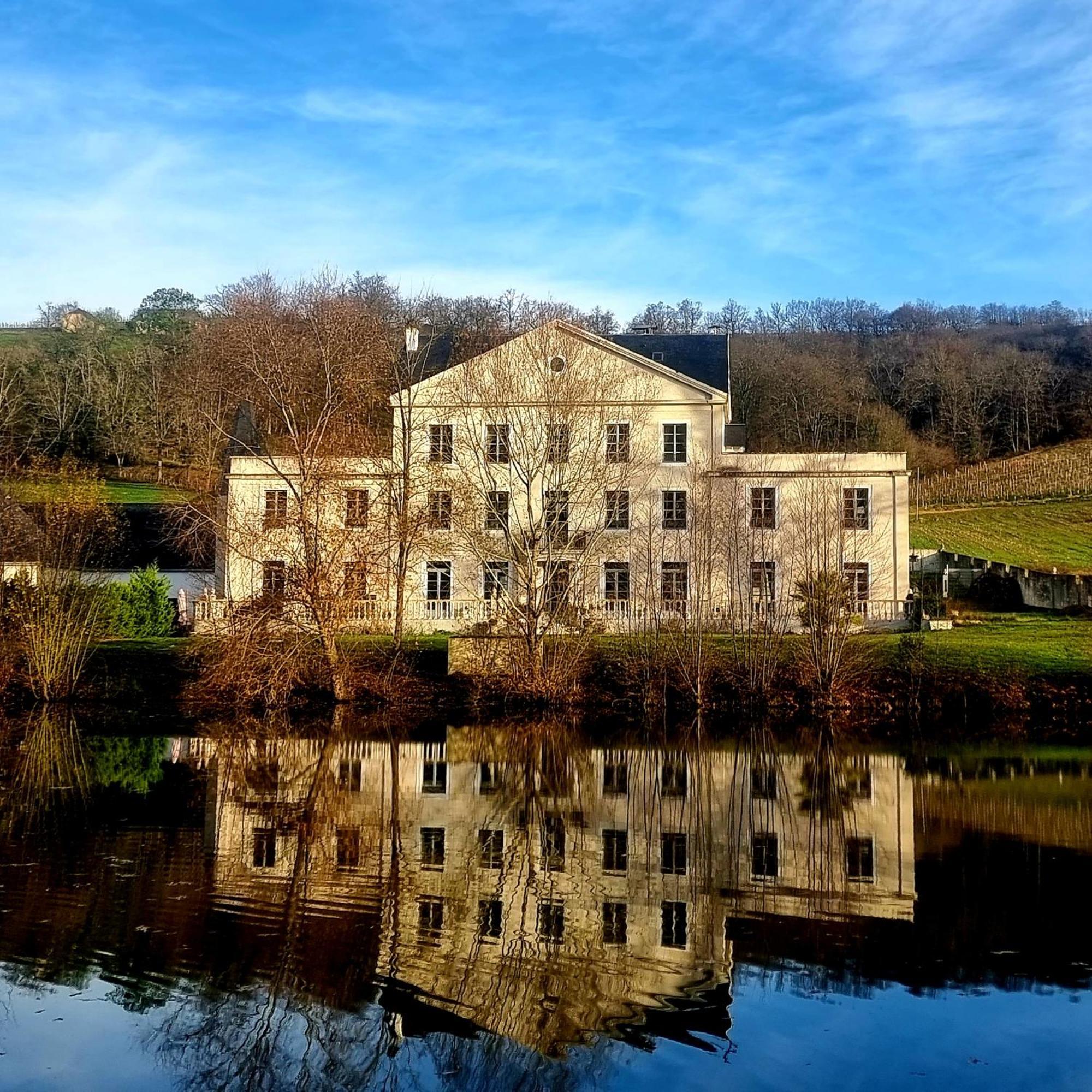 Chateau Roquehort Avec Ev Recharge Point 22Kw Monein Bagian luar foto